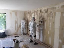 Mold Odor Removal Services in Homer, GA